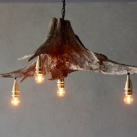 4bulbs Roots chandelier