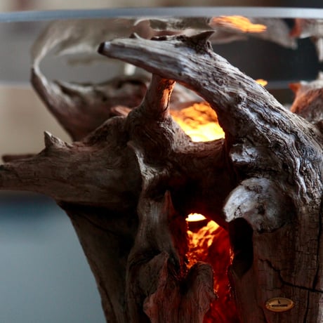Driftwood display table light#2