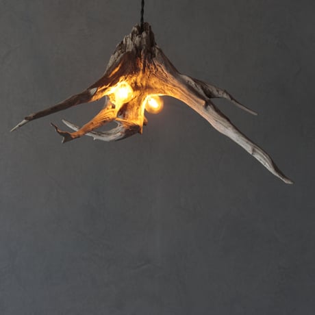 2bulbs Roots pendant light