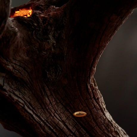 Driftwood display table light