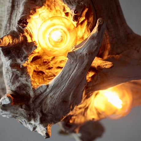 3bulbs Roots pendant light