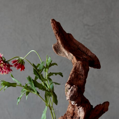 Driftwood flower vase#4