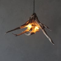 2bulbs Roots pendant light