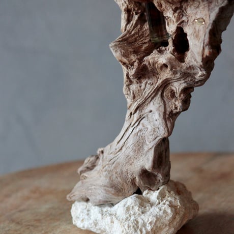 Driftwood flower vase#1