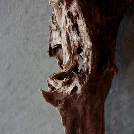 Driftwood hanging flower vase#3
