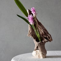 Driftwood flower vase#2