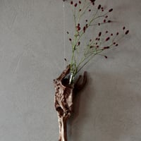 Driftwood hanging flower vase#3