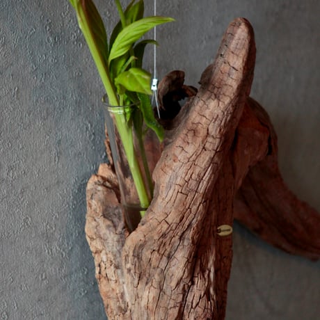 Driftwood hanging flowervase#1