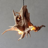 Hart beat 4bulbs pendant light