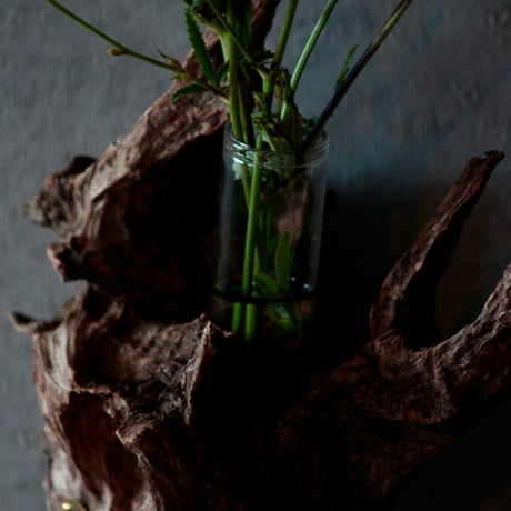 Driftwood hanging flower vase#3