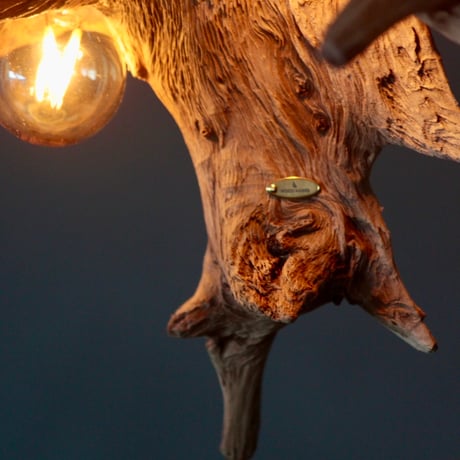 3bulbs driftwood roots pendant light