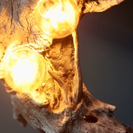 2bulbs driftwood pendant  light