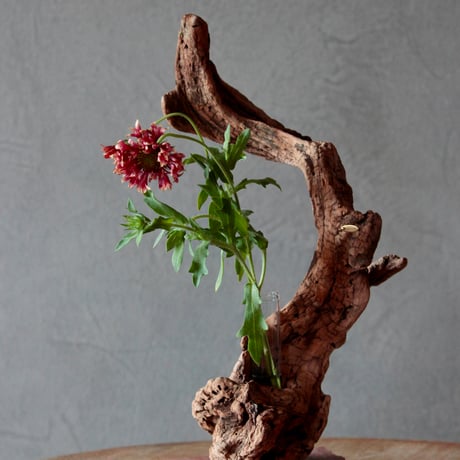 Driftwood flower vase#4