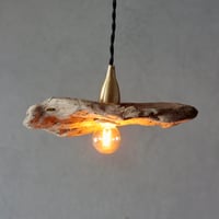 mini driftwood pendant light