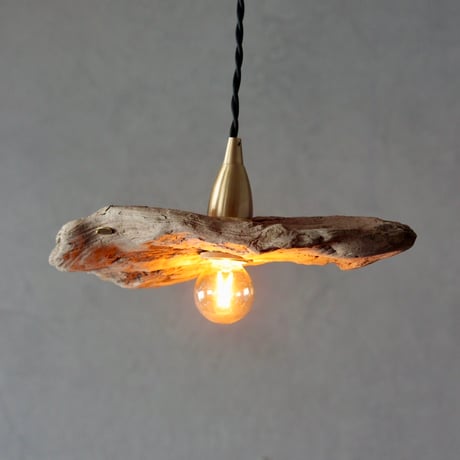 mini driftwood pendant light