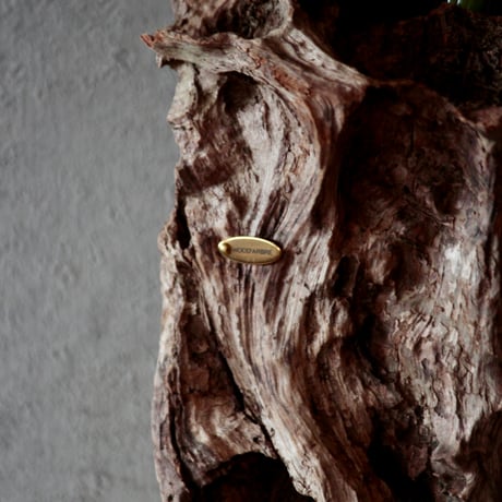 Driftwood hanging flower vase#3