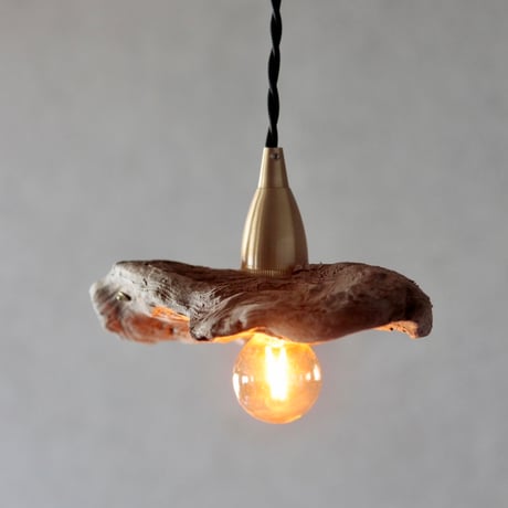mini driftwood pendant light
