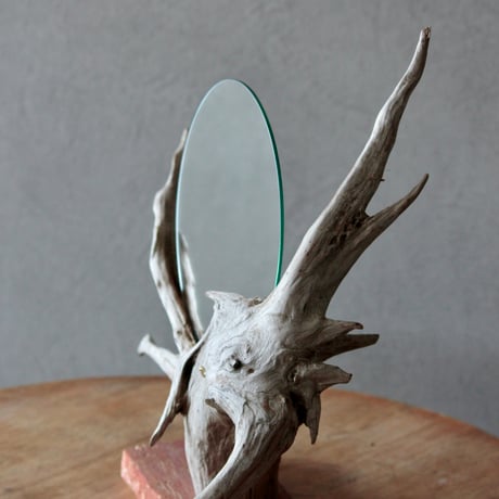 Driftwood stand mirror#1