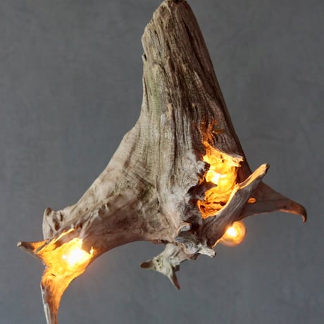 3bulbs Roots pendant light