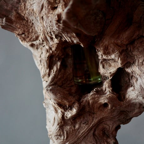 Driftwood flower vase#1