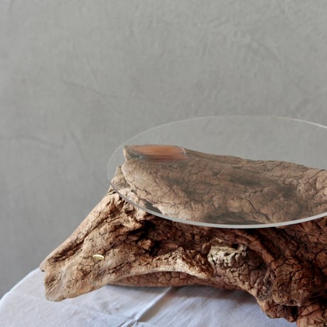 Driftwood Display stand