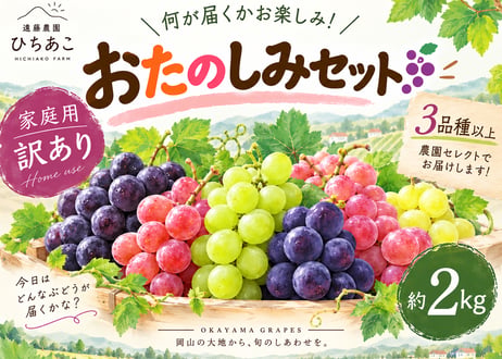 遠藤農園 ひちあこ