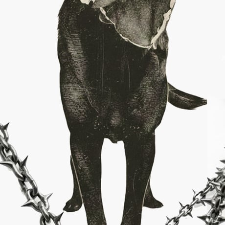 goodtaniku