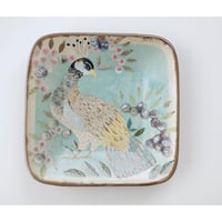 Square plate / Peacock / 孔雀