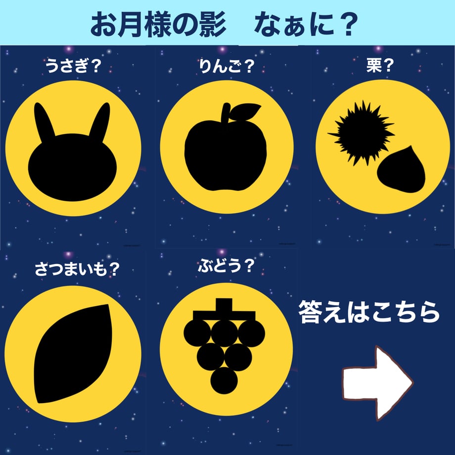 66d313ce96bb9504b54afb18