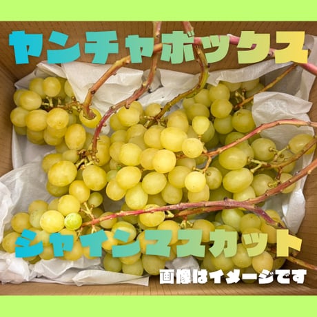 ぶどう園さんすけ
