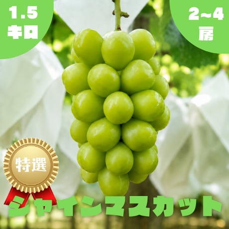 ぶどう園さんすけ