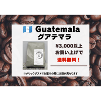 グアテマラ フライハーネス WS SHB 100g