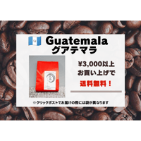 グアテマラ サンアグスティン ピューマ WS SHB 100g