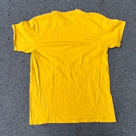 CARHARTT WORK IN PROGRESS logo T-SHIRTS ( USED )
