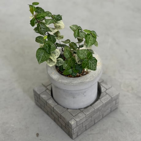 MORTAR PULANT POT