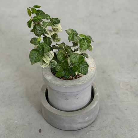 MORTAR PULANT POT