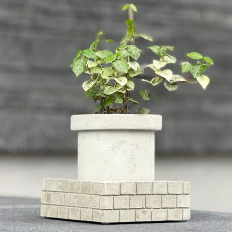 MORTAR PULANT POT