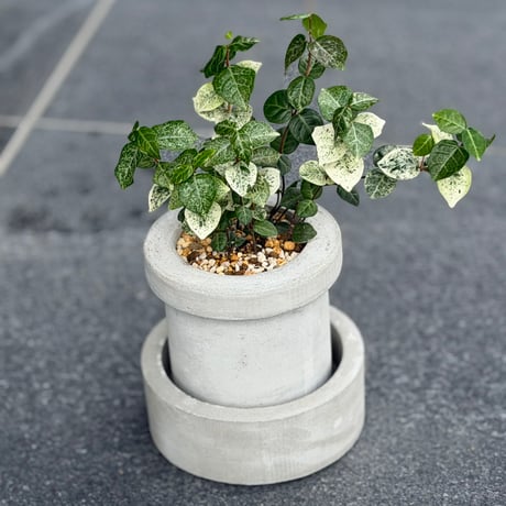 MORTAR PULANT POT