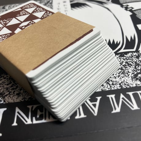 古代ローマの新しいゲーム (Neue Spiele im alten Rom) / ニューゲームズオーダー 日本語版