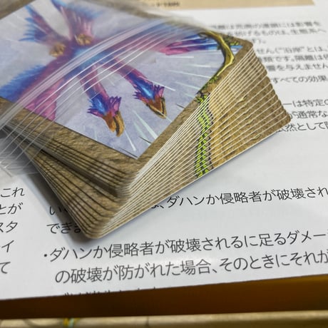【純正インサート無】 スピリット・アイランド 拡張 羽根と炎 (Spirit Island Feather ＆ Flame) / Engames 日本語版