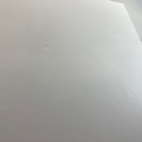【箱・ボード等潰れ大】 馬なし馬車 ホースレス・キャリッジ (Horseless Carriage) / Splotter Spellen 海外版(日本語訳無)