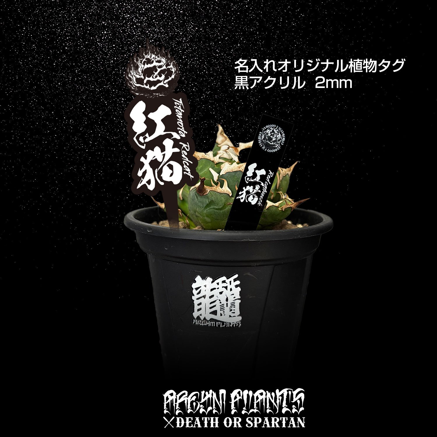 名入れ商品 オリジナル植物タグ大 アクリル製 | アレイムプランツ