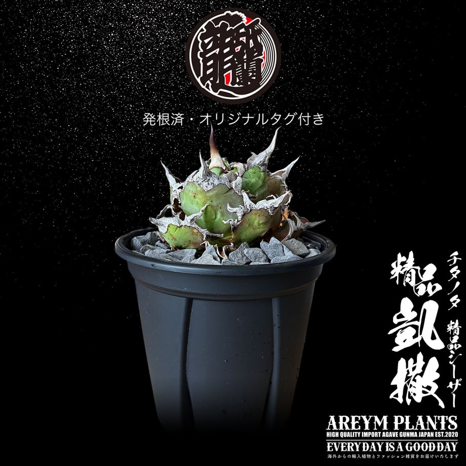 6a4dde40a932bf1ee9a2326a