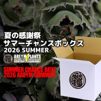 2026年7月29日20時販売分 AREYM SUMMER CHANCE BOX 限定販売 ¥15,000