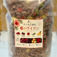 ベースごはん🌺ハワイアン🌟でき次第発送