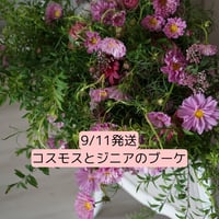 9月11日発送　コスモスとジニアのブーケ　　花材配送と動画レッスン  ベーシック/アドバンス