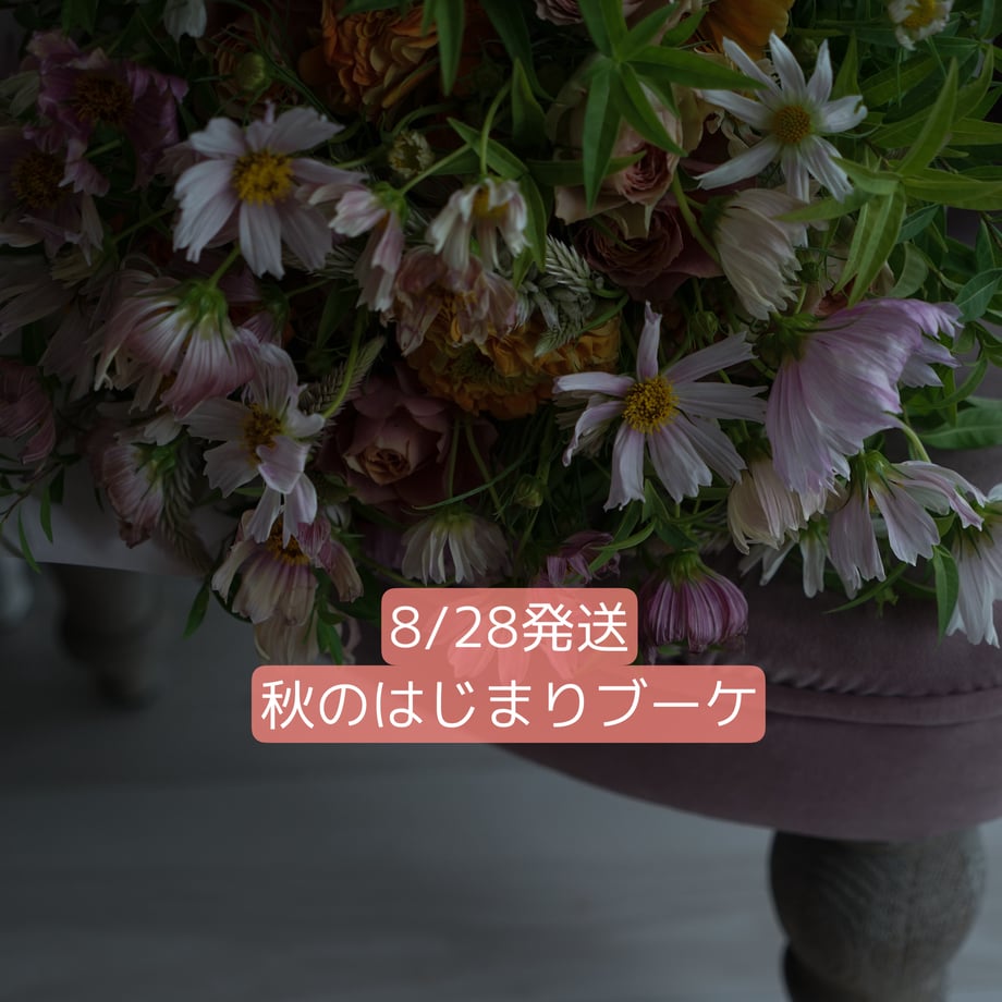 6a589893a625e86c06eebd68