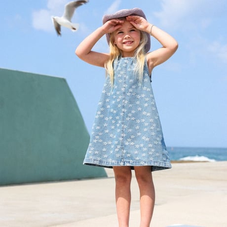 Daisy denim shift dress