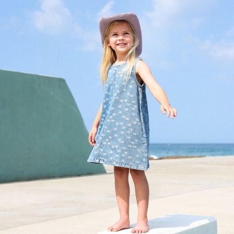 Daisy denim shift dress