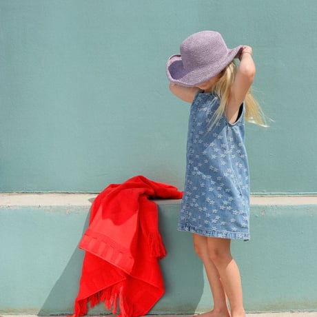 Daisy denim shift dress